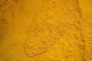 Corn Gluten Meal (60% Min Protein) - Indonesia