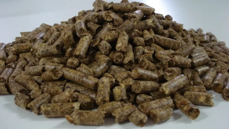 Citrus Pulp